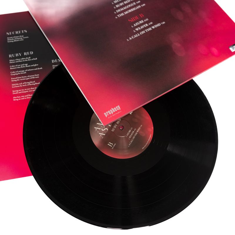 Amber Asylum - Ruby Red Vinyl LP  |  Black