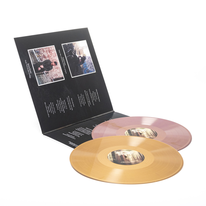 Xasthur - A Misleading Reality Vinyl 2-LP Gatefold  |  Gold/Purple Marble