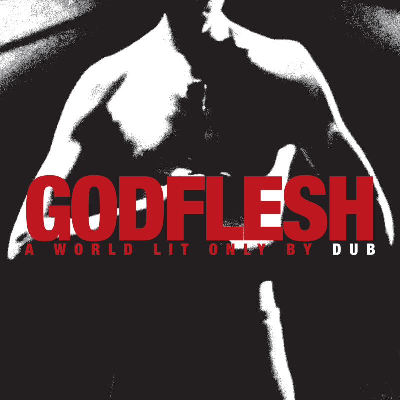 Godflesh - A World Lit Only By Dub Vinyl LP  |  Black