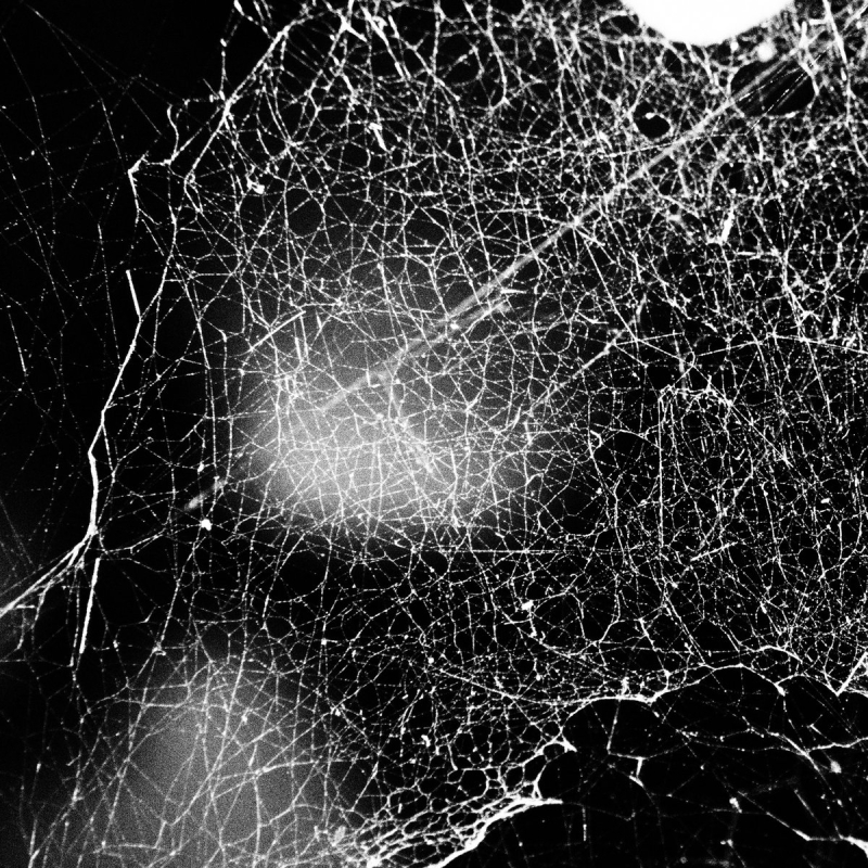 Hadopelagyal - Haematophoryktos CD Digipak