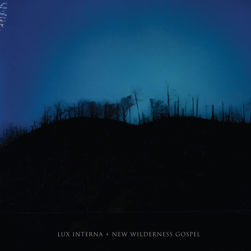 Lux Interna - New Wilderness Gospel Vinyl 2-LP Gatefold  |  Black