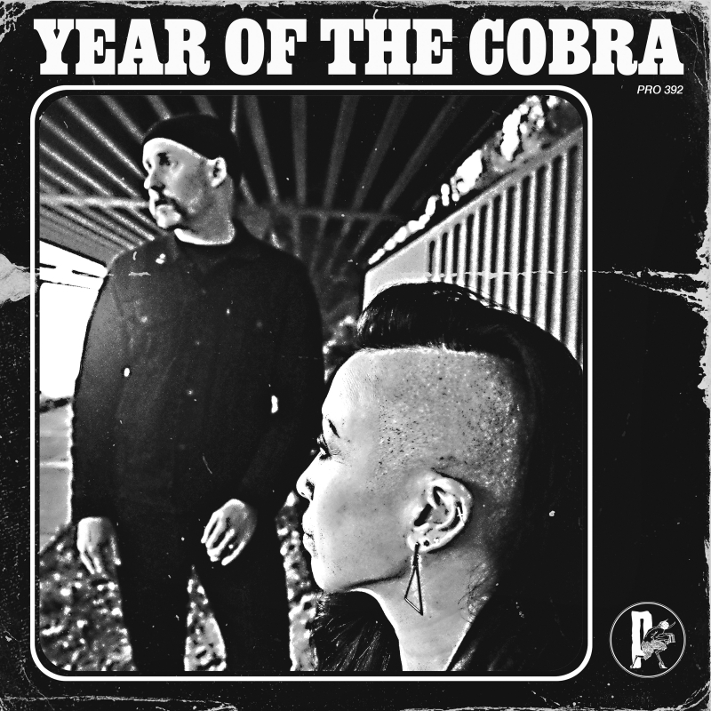 Year Of The Cobra - Year Of The Cobra Vinyl LP  |  Black