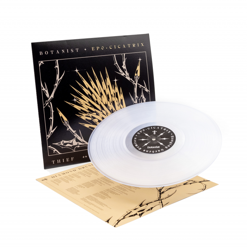 Thief - Cicatrix / Diamond Brush (Split with Botanist) Vinyl LP  |  Clear