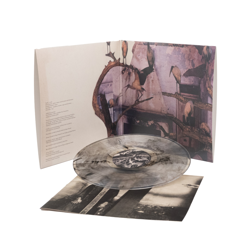 Trelldom - …by the Word… Vinyl Gatefold LP  |  Marble