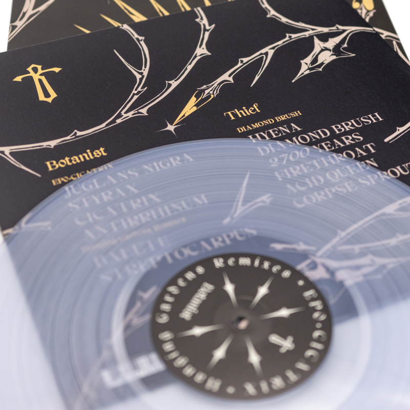 Thief - Cicatrix / Diamond Brush (Split with Botanist) Vinyl LP  |  Clear